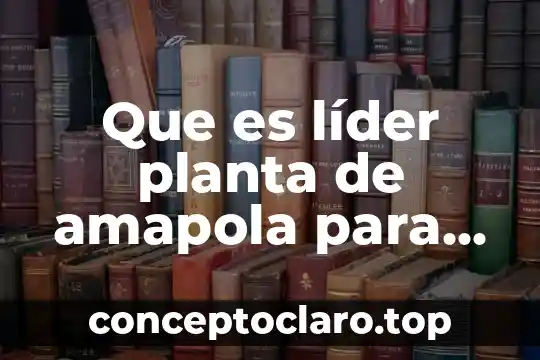 Que es integridad de un lider 7 Que es líder planta de amapola para que sirve
