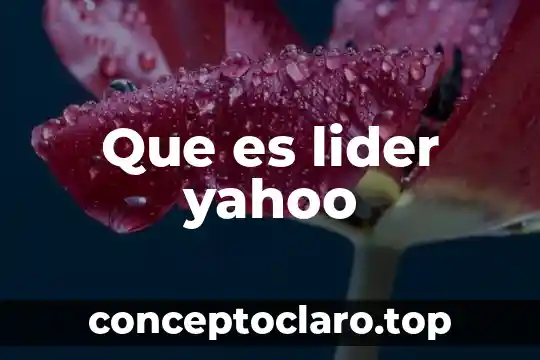 Que es lider yahoo