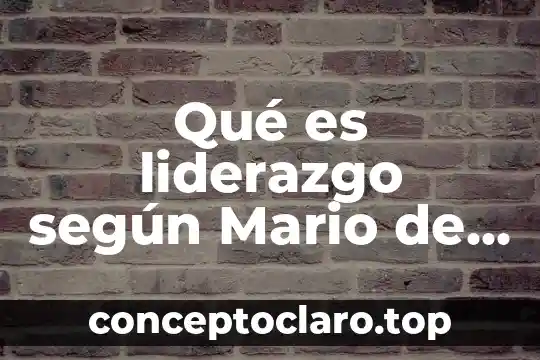 Que es un principio cientifico segun mario bunge 3 Qué es liderazgo según Mario de Marchis