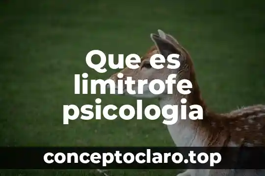 Que es limitrofe psicologia