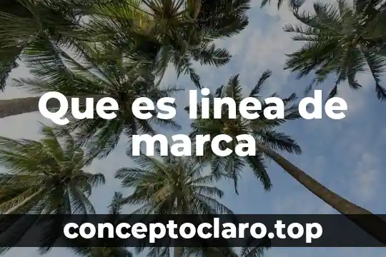 Administracion de activos extranjeros que es 4 Que es linea de marca