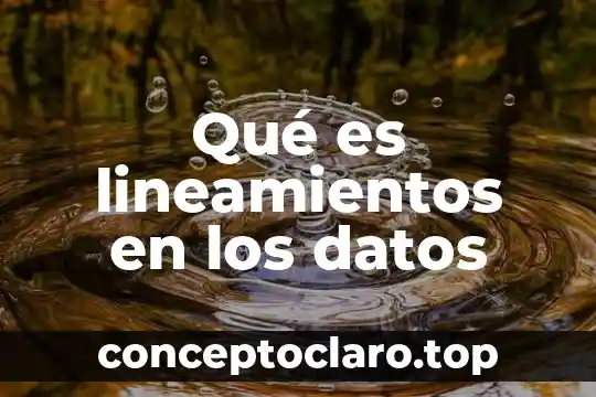 Que es poblacion de datos 8 Qué es lineamientos en los datos