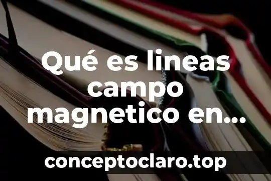 Que es un sensor magnetico de nivel de agua 6 Qué es lineas campo magnetico en fisica