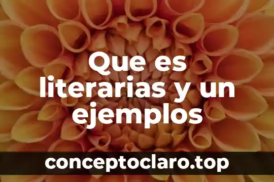 Que es vigesimal ejemplos 4 Que es literarias y un ejemplos