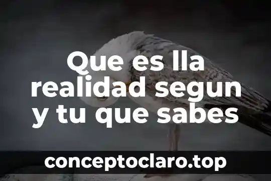 Que es la realidad segun el transcendentalismo 5 Que es lla realidad segun y tu que sabes