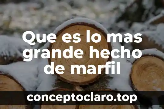 Que es lo mas grande hecho de marfil