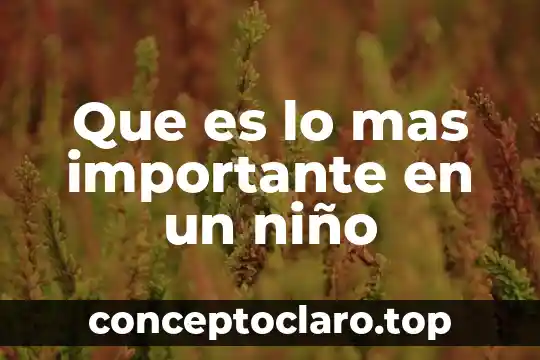 Que es lo mas importante en un niño