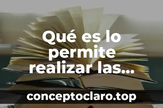 Qué es lo permite realizar las hojas de cálculo