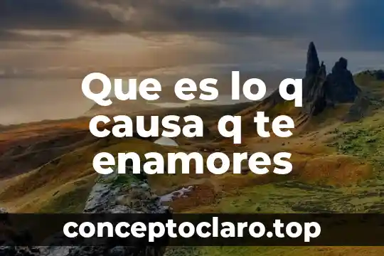 Que es una causa irreversible 3 Que es lo q causa q te enamores