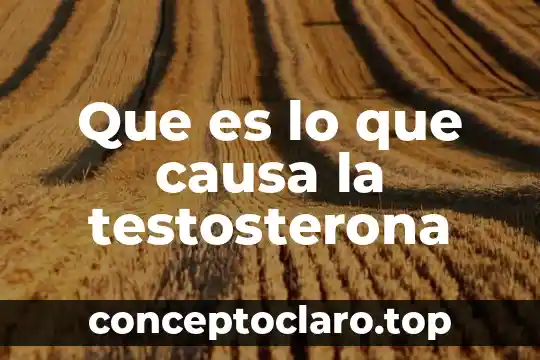 Que es lo que causa la testosterona