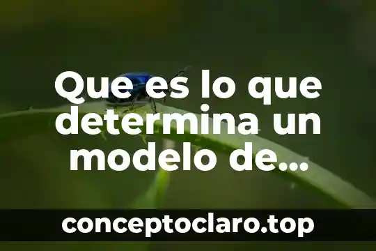 Que es lo que determina un modelo de inventario