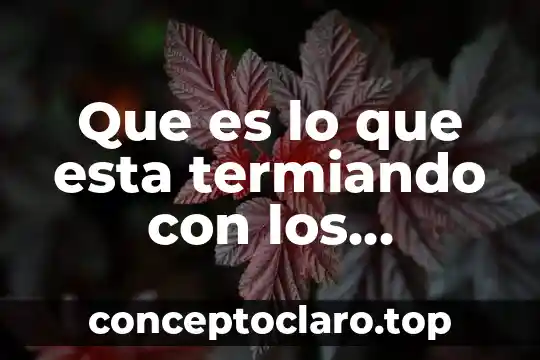 Número en los carros que está en tablero que es 3 Que es lo que esta termiando con los recursos forestales
