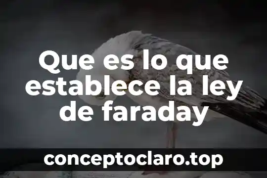 Que es caducidad de la ley 8 Que es lo que establece la ley de faraday