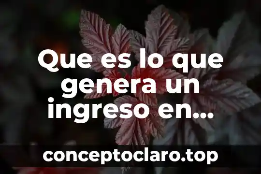 Que es lo que genera un ingreso en mexico