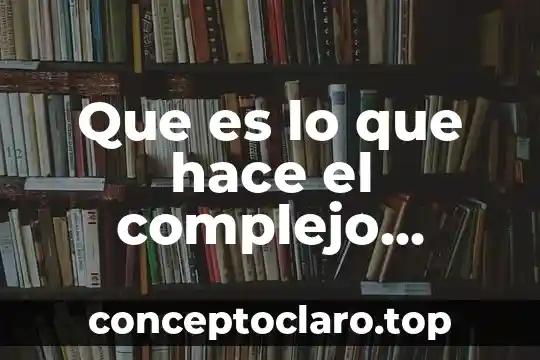 Que es lo que hace el complejo antenta