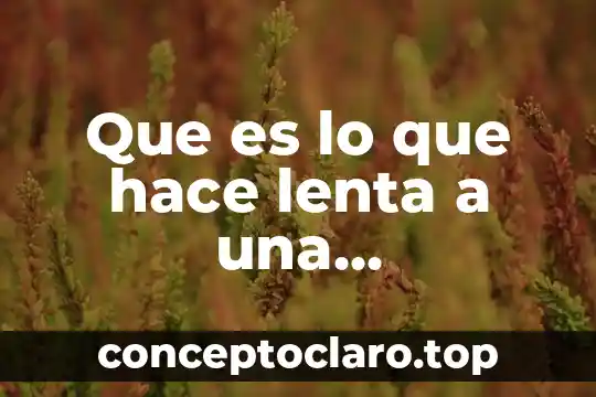 Que es lo que hace lenta a una computadora