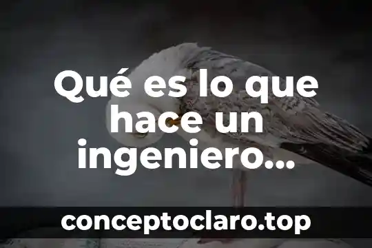 Que es un ingeniero en industrias alimentarias 3 Qu茅 es lo que hace un ingeniero qu铆mico