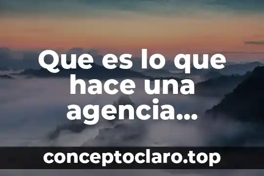 Que es lo que hace una agencia inmobiliaria
