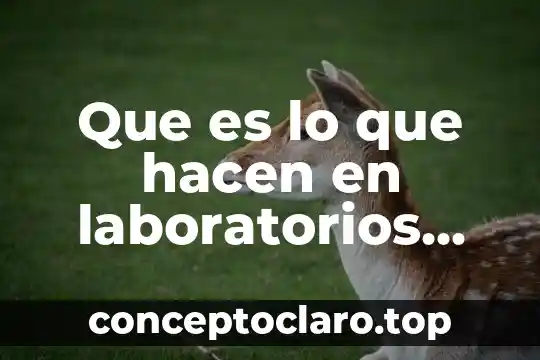 Qué es el enamorami y qué hacen 6 Que es lo que hacen en laboratorios liomont