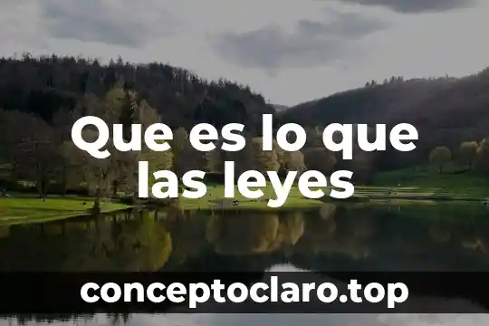 Que es lo que las leyes
