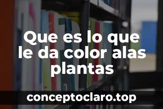 Cuando te da comeson en el cuerpo que es 8 Que es lo que le da color alas plantas
