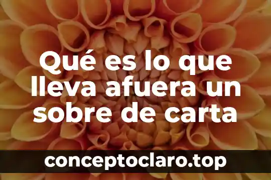 Que es lo que lleva un boletin informativo 6 Qué es lo que lleva afuera un sobre de carta