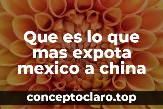 Que es lo que mas expota mexico a china