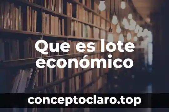 Para que es necesario calcular el lote económico de compra 3 Que es lote económico