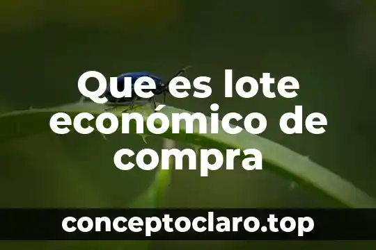 Para que es necesario calcular el lote económico de compra 5 Que es lote económico de compra