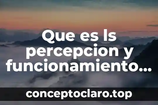 Que es ls percepcion y funcionamiento dl cuerpo