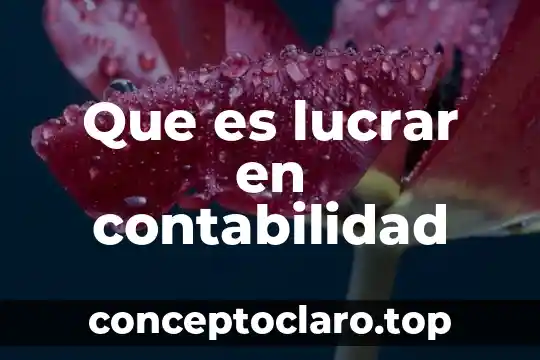 Conclusion sobre que es la contabilidad 6 Que es lucrar en contabilidad