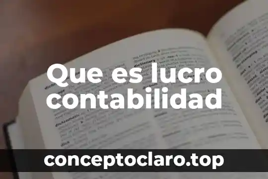 Que es una devolucion en términos contabilidad 5 Que es lucro contabilidad