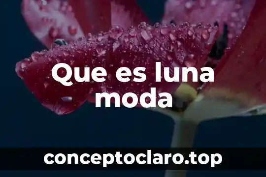 Que es luna moda