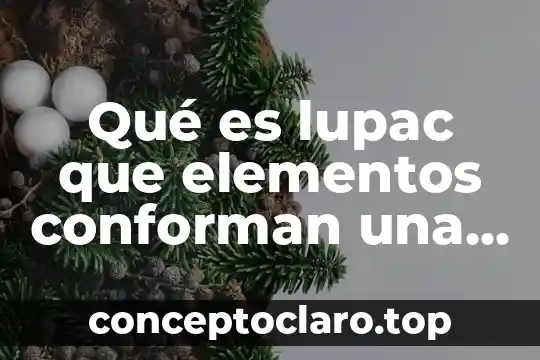 Qué es la técnica de órganos conforman 5 Qué es lupac que elementos conforman una fórmula
