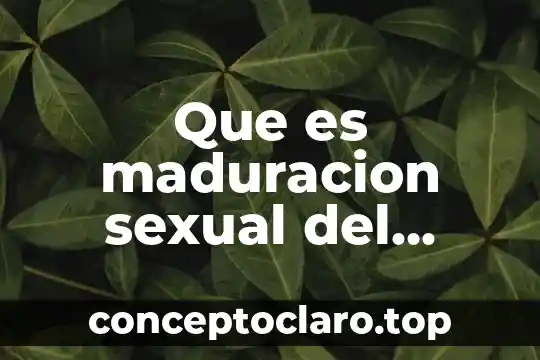 Que es el hombre para tomas moro 4 Que es maduracion sexual del hombre