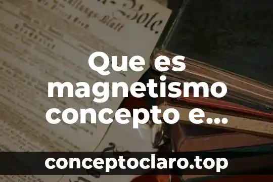 Que es magnetismo concepto e importancia