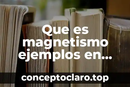 Que es magnetismo ejemplos en casa