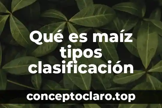 Que es nutriente tipos 7 Qué es maíz tipos clasificación