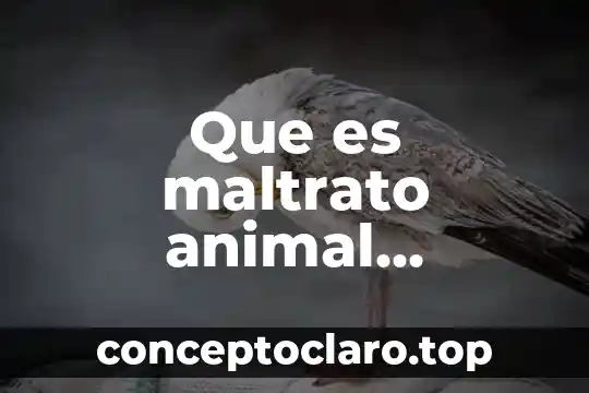 Que es virtualbox disk image 3 Que es maltrato animal introduccion