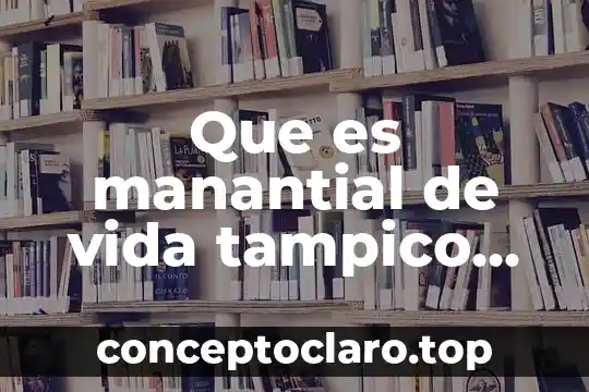Que es manantial de vida tampico calle altamira numero 517