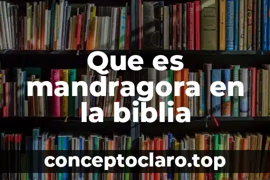 Que es la conciencia del hombre segun la biblia 8 Que es mandragora en la biblia