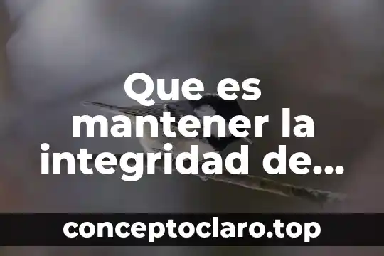 Qué es la vida jurídica concepto 5 Que es mantener la integridad de la informacion