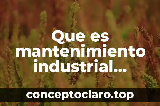 Que es mantenimiento industrial libros