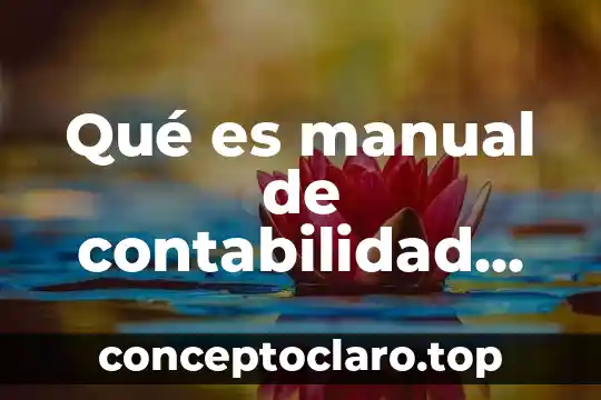Que es tipos de investigacion cuantitativa 3 Qué es manual de contabilidad gubernamental