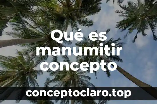 Qué es manumitir concepto
