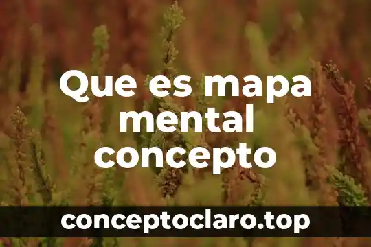 Que es mapa mental concepto
