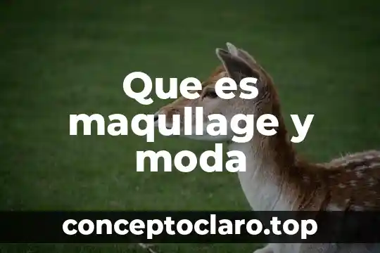 Que es maqullage y moda
