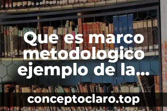 Que es marco metodologico ejemplo de la engorda animal