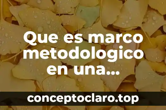 Que es la coherencia en una investigación 8 Que es marco metodologico en una investigacion