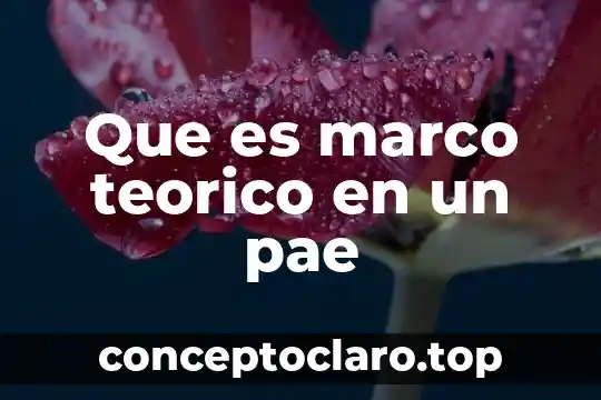 Que es marco teorico en un pae